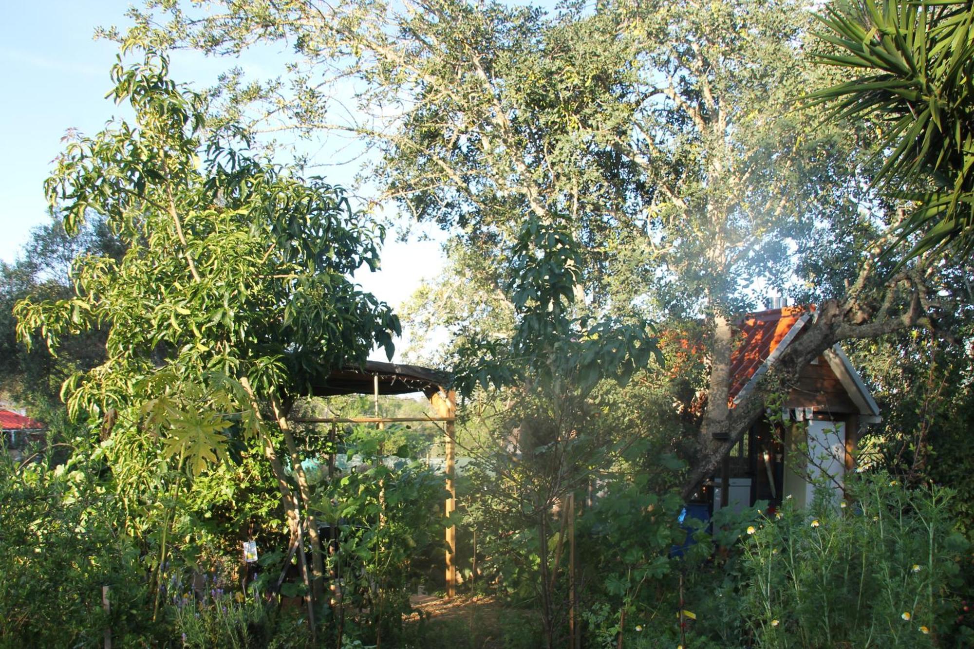 Tiny House Eco Resort Estevais Exterior foto